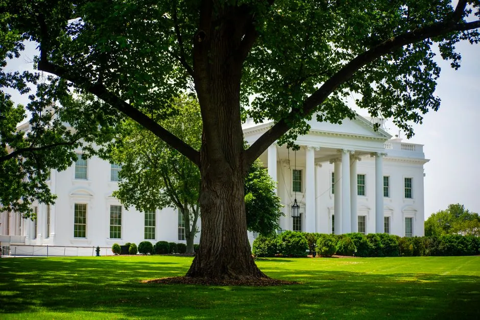 Real-Time AI Regulation: Why Shifting White House Policies Are Grounding Anthropic’s Latest Models