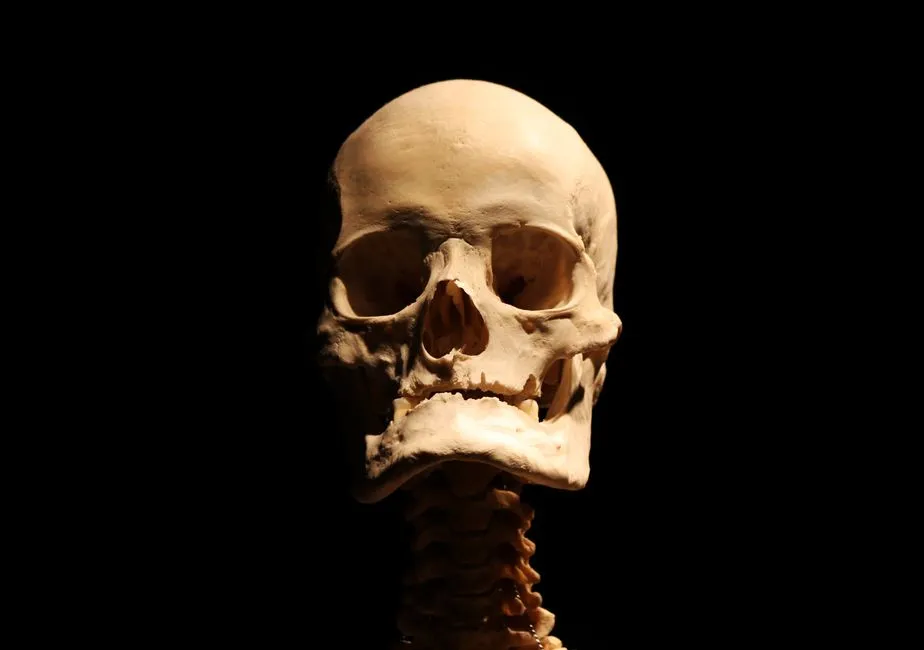 How AI Is Changing Forensic Anthropology by Reconstructing Unidentified Remains